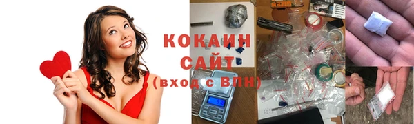 стаф Аркадак