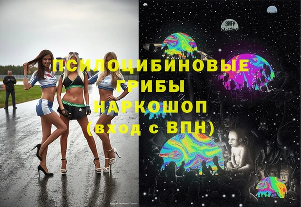 стаф Аркадак