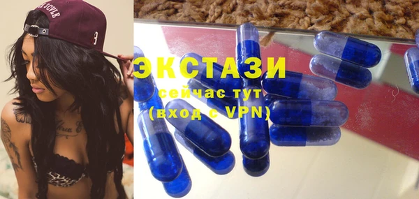 стаф Аркадак