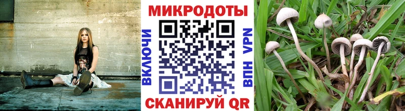 Галлюциногенные грибы ЛСД  ОМГ ОМГ ТОР  Рыльск 